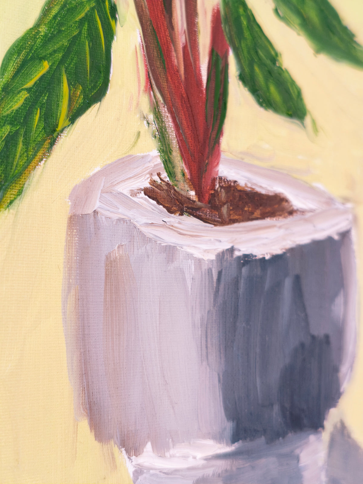 Plant in Gray Pot, 5x7 Inch Original