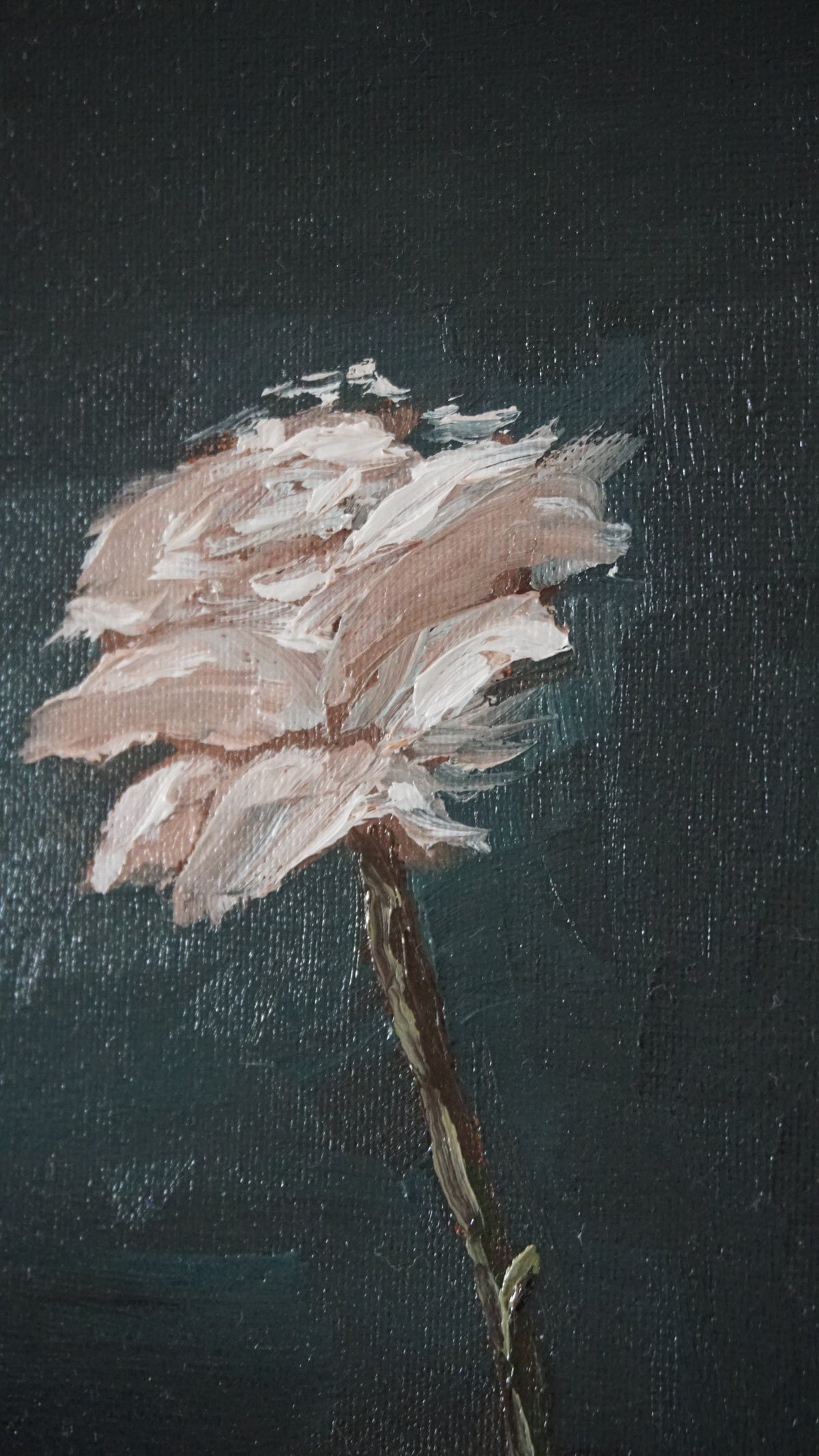 White Rose, 24x30cm (9.5x11.8 Inch) Original