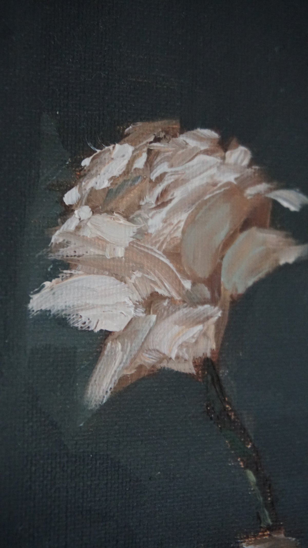 White Rose Color Study, 5x7 Inch Original