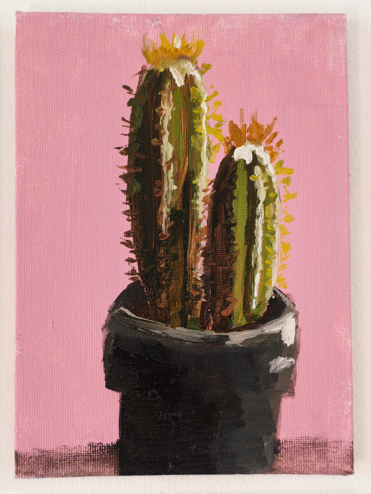 Cactus, 5x7 Inch Original