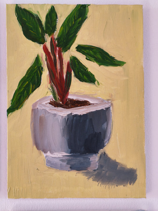 Plant in Gray Pot, 5x7 Inch Original