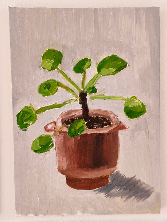 Pilea, 5x7 Inch Original