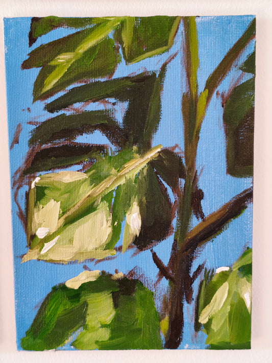 Monstera, 5x7 Inch Original