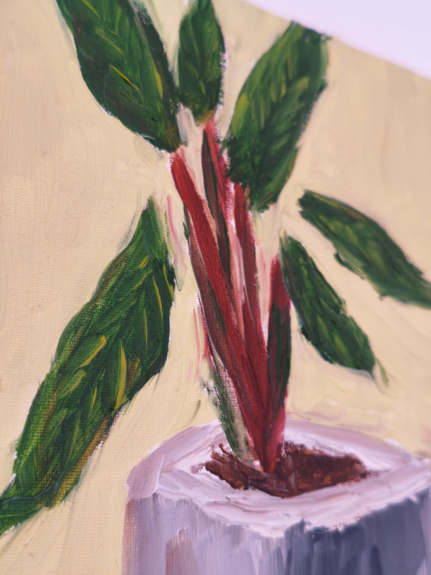 Plant in Gray Pot, 5x7 Inch Original
