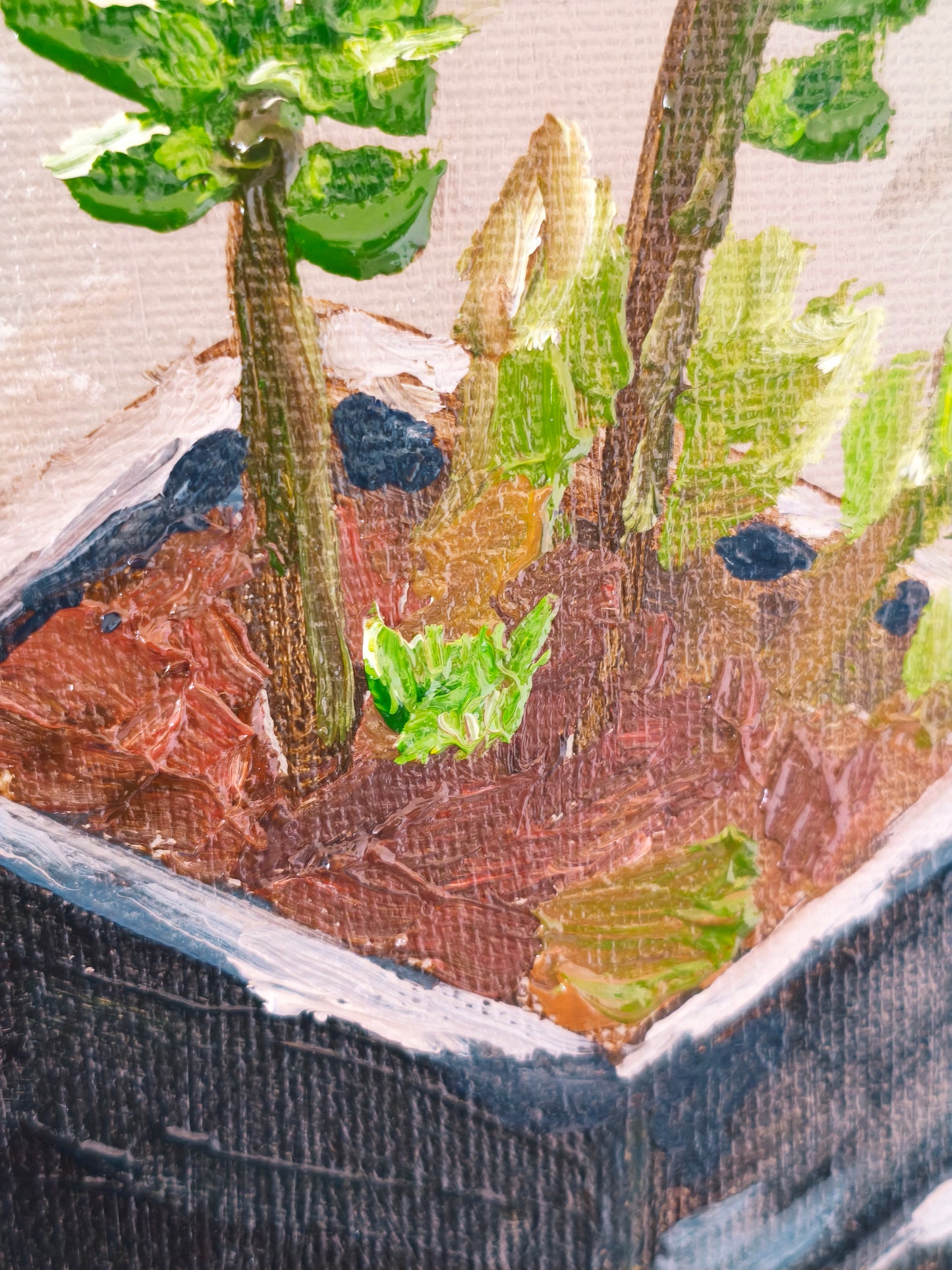 Succulent, 5x7 Inch Original