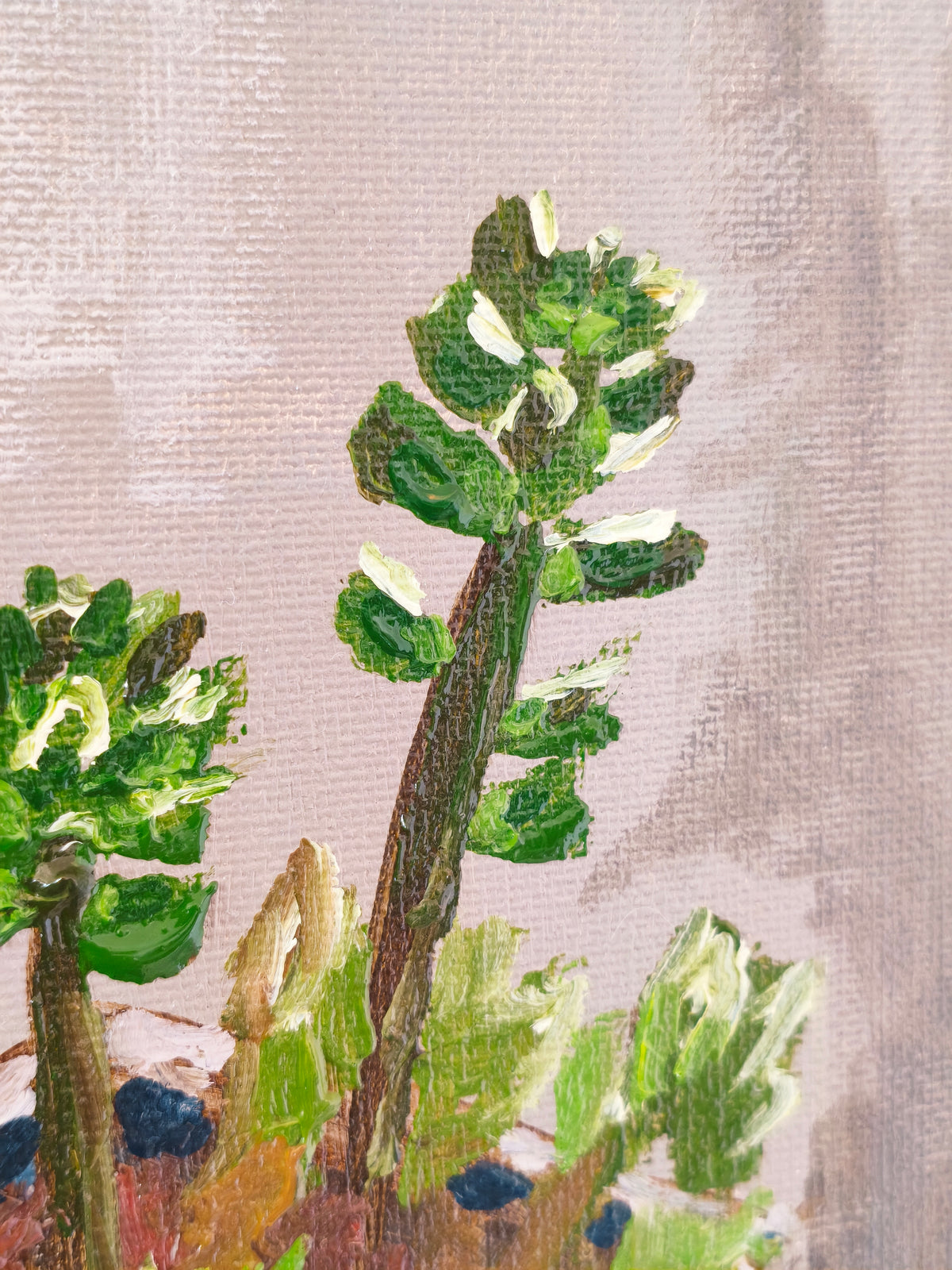 Succulent, 5x7 Inch Original