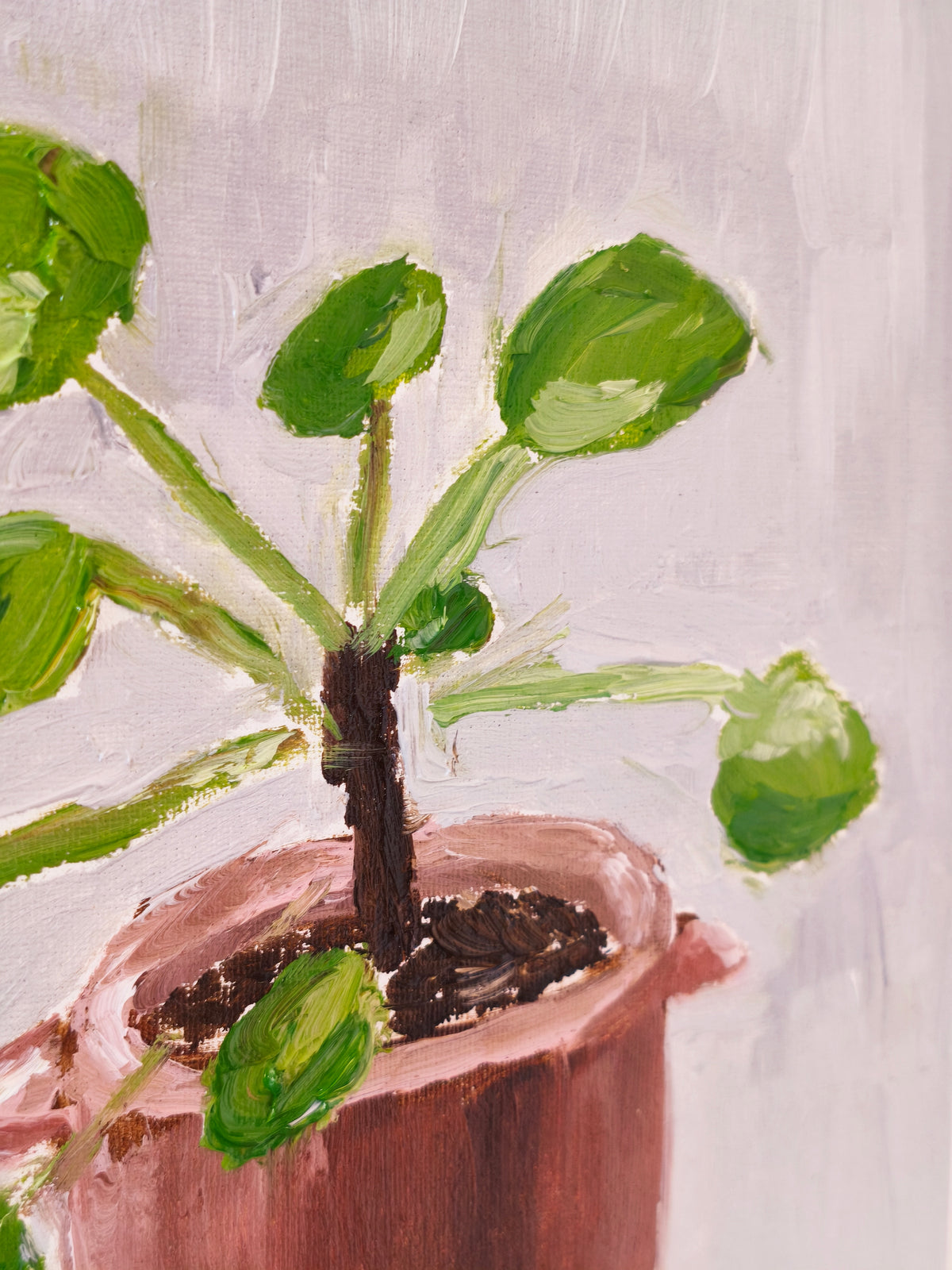 Pilea, 5x7 Inch Original