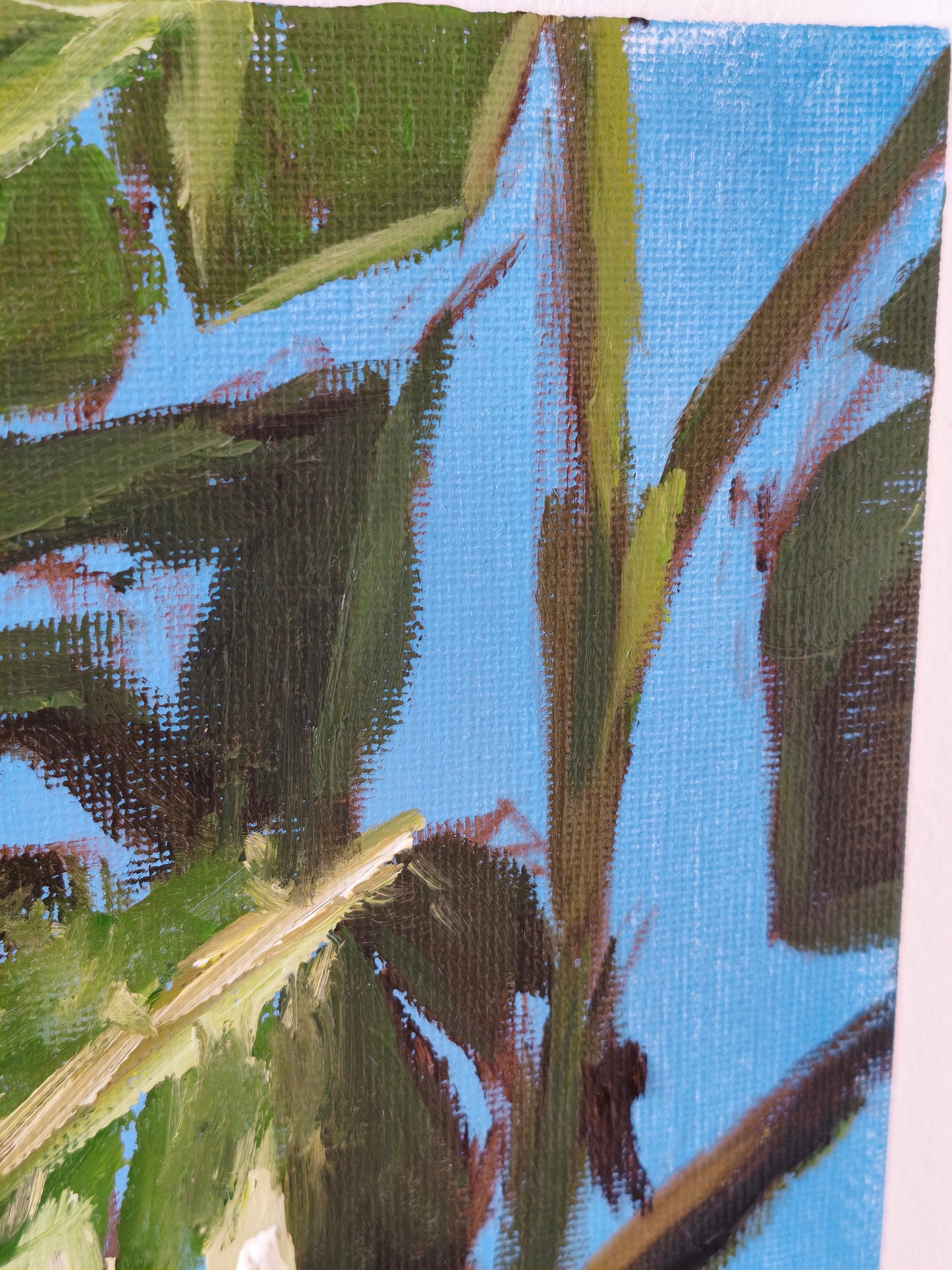Monstera, 5x7 Inch Original